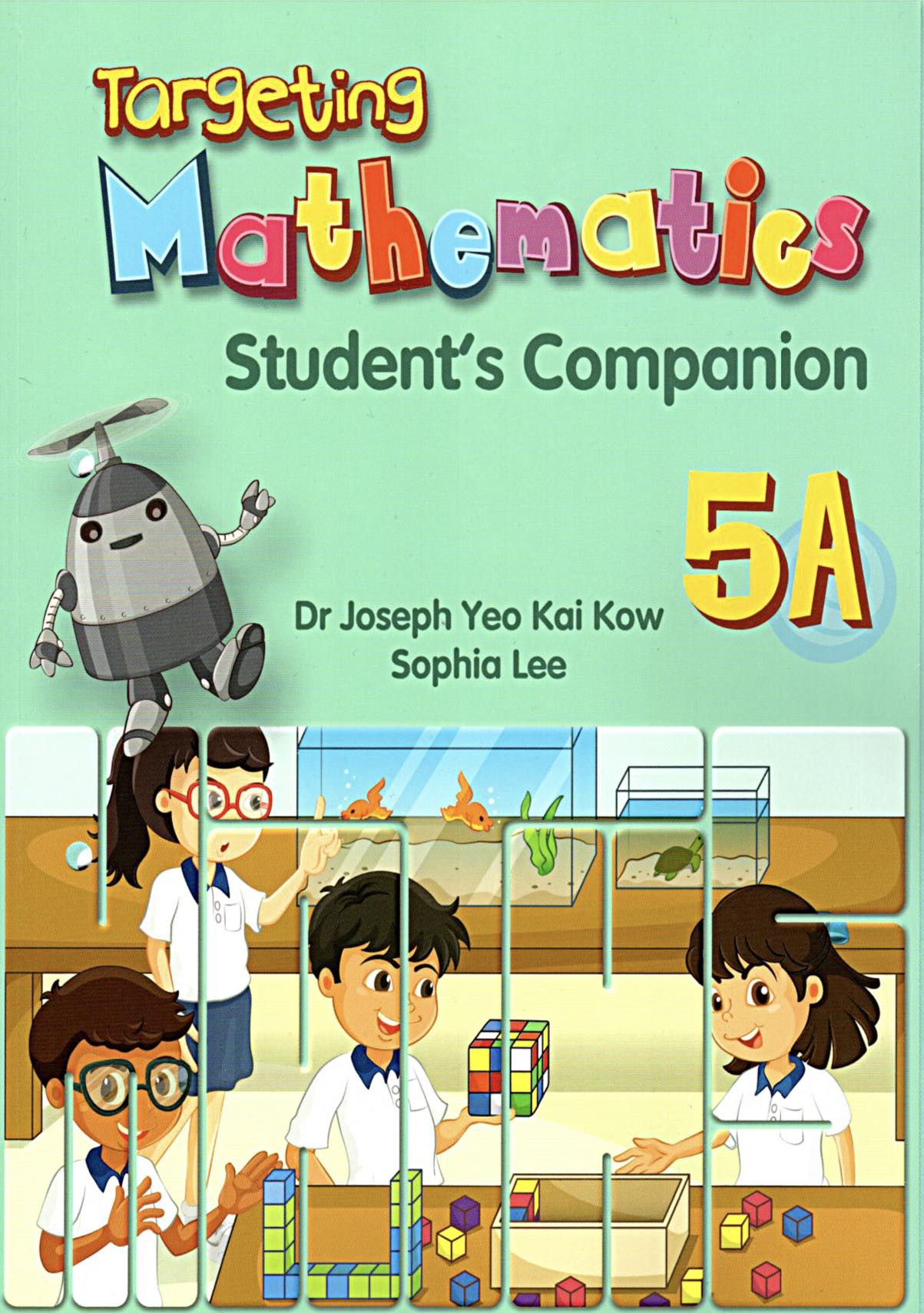 Targeting Mathematics 5