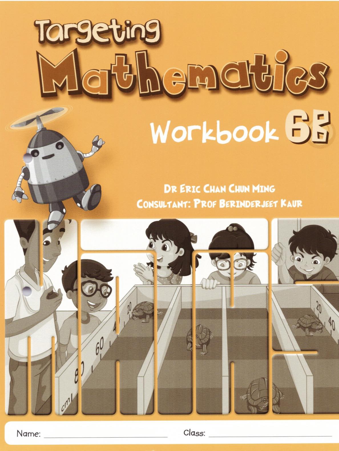 Targeting Mathematics 6