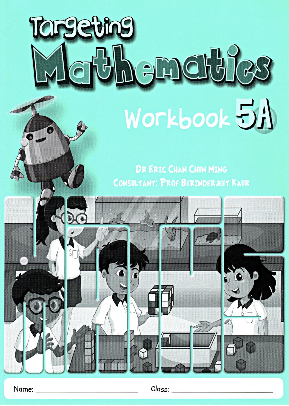 Targeting Mathematics 5