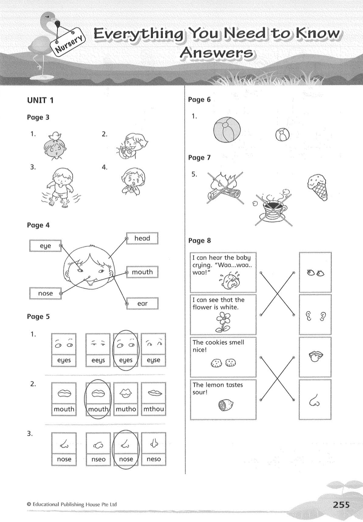 Everything You Need To Know Nursey, K1, K2