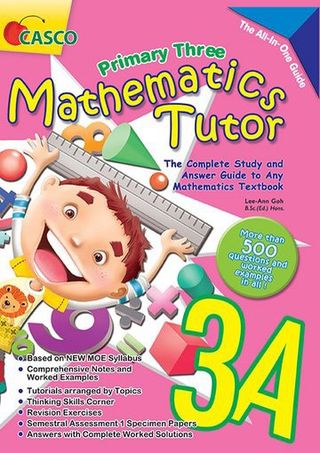 Casco Mathematics Tutor for Primary Levels