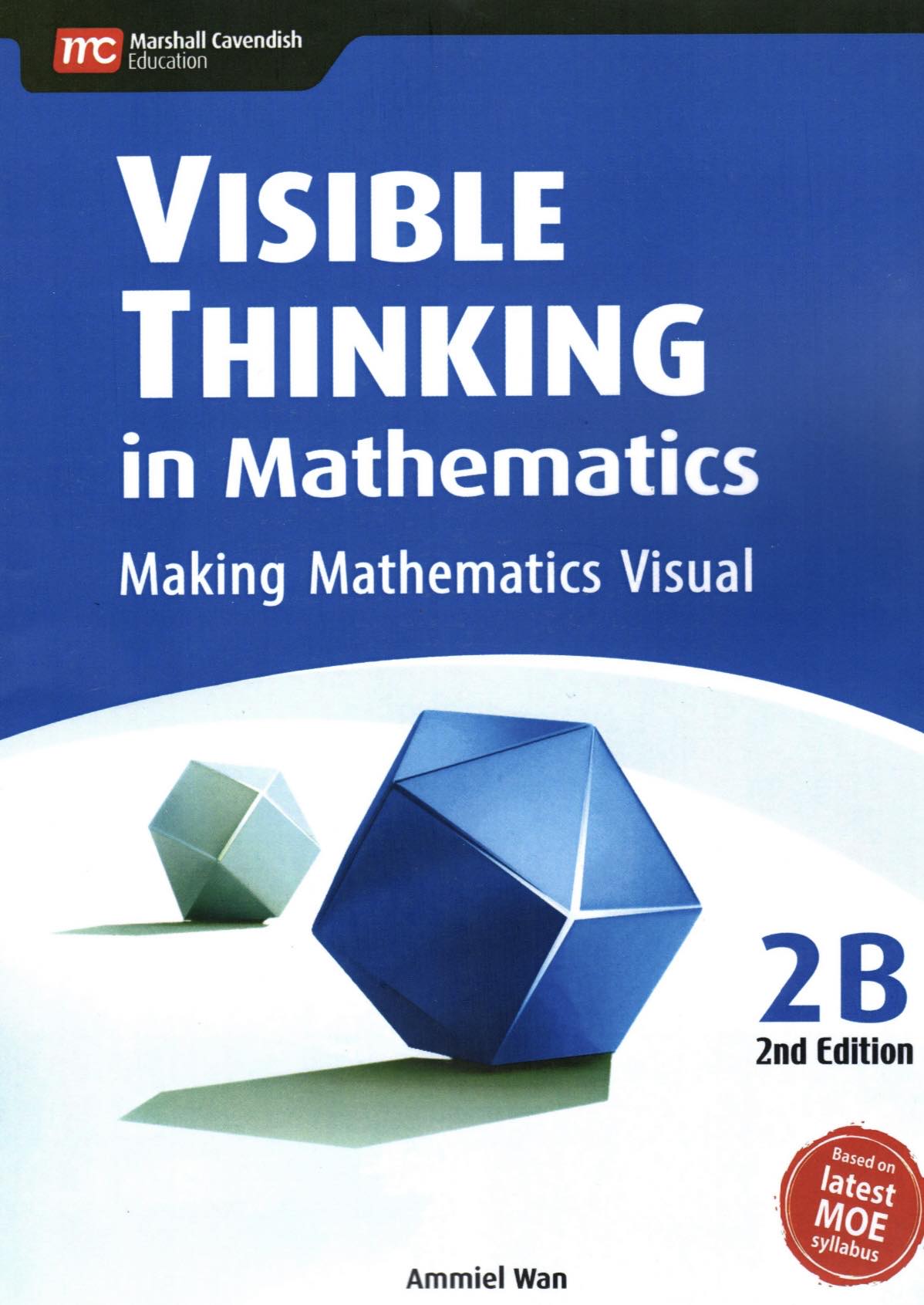Visible Thinking In Mathematics for Primary Levels – EduSupport (ES)